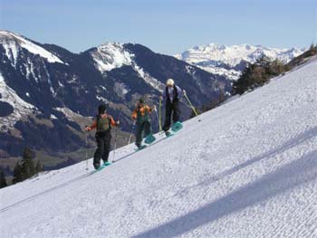 FaBe Schneeschuhtour 4.3.07 027